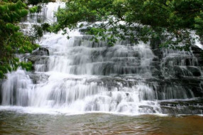 Kodaikanal Waterfalls