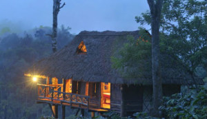 Wayanad Tree House